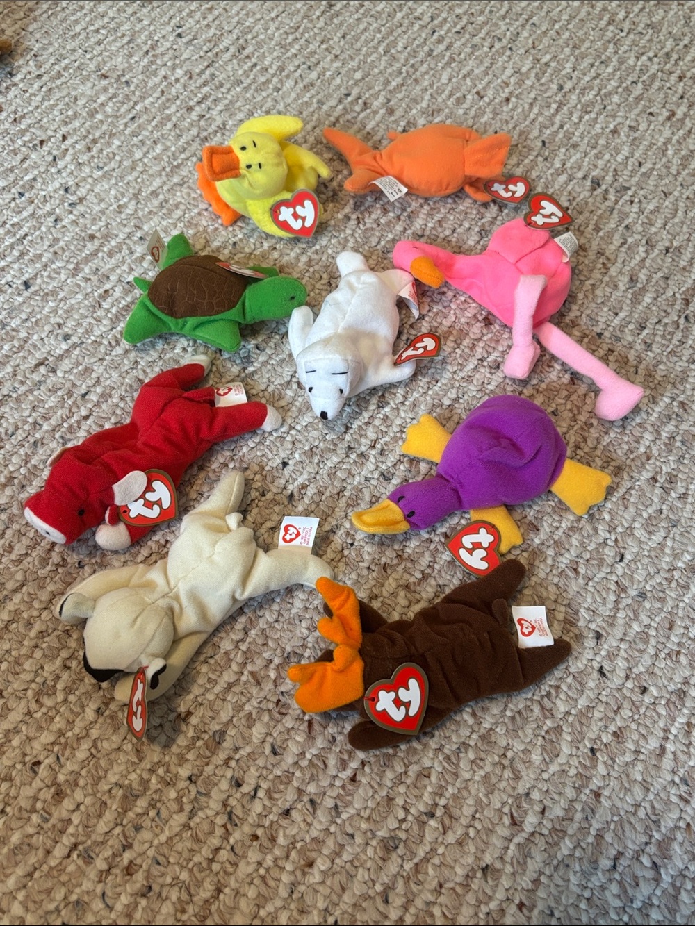 22 Teenie Beanie babies
